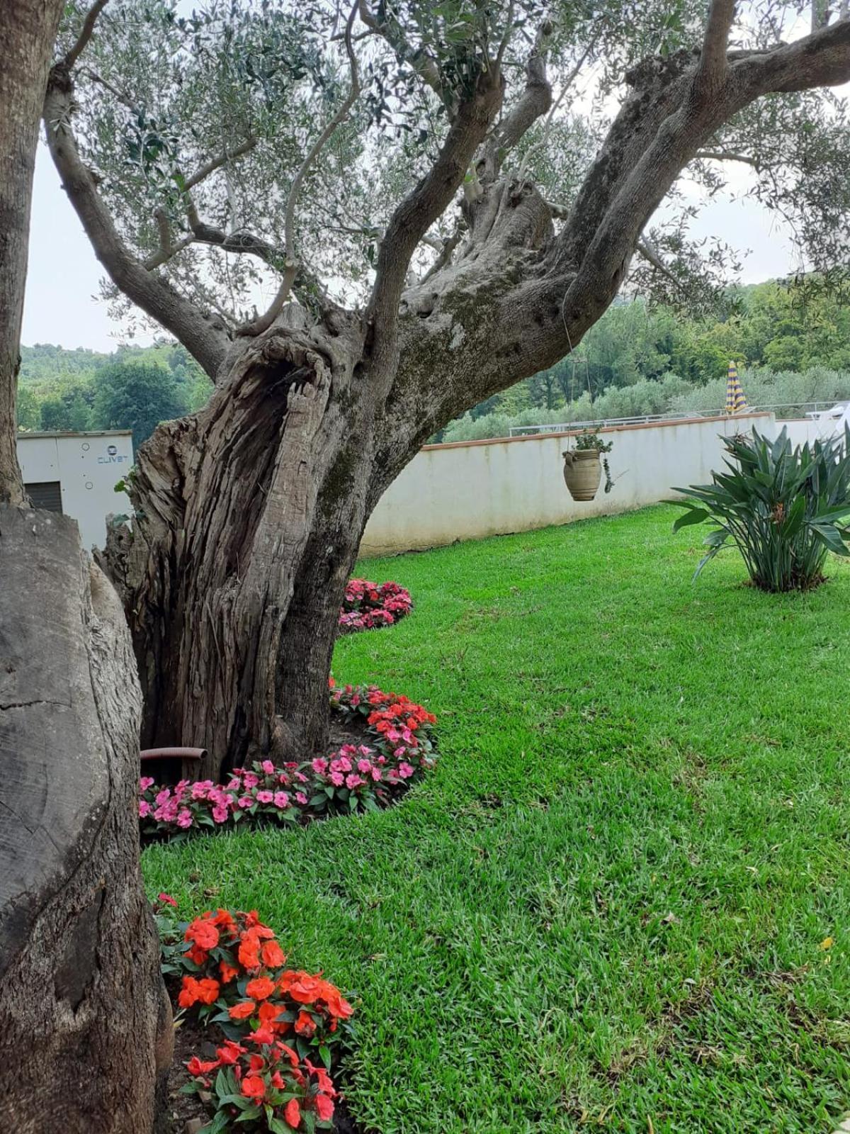 Bel Tempio Guest House San Giovanni a Piro Luaran gambar